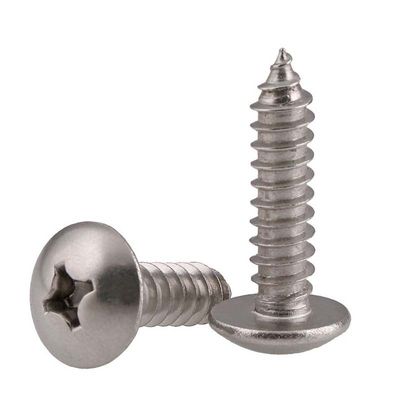 Corrosion Resistant Stainless Steel Self Tapping Screws with Phillips Extra Wide Rounded Head for Concrete and Industrial