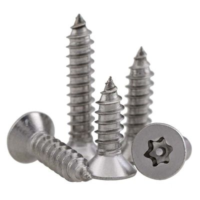 Torx Tamper Proof Self Tapping Screws