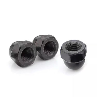 Alloy Stainless Steel Nuts Size Cap Type M14 M16 JIS Standard Grade 4.8