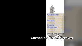 304 Stainless Steel Self Tapping Screws