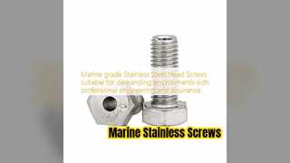Marine Stainless Screws For Tough Jobs