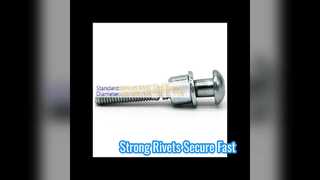 Zinc Plated SS Rivets Magna Grip Huck Lock Bolt