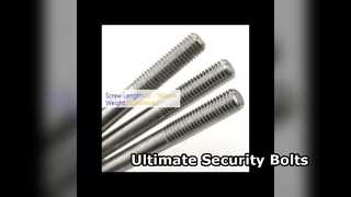 Anti Theft Stainless Steel Bolts Secure Your Projects